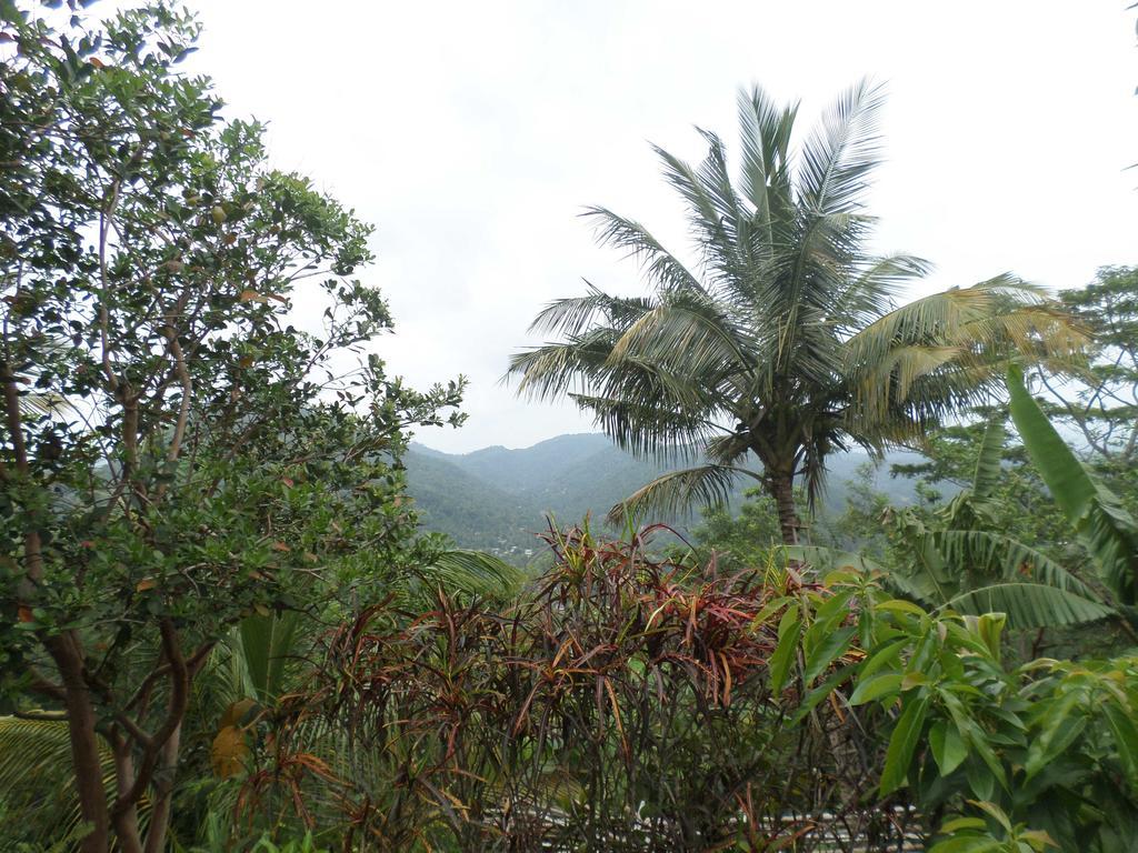 Primrose Hill Holiday Bunglow Hotel Kandy Buitenkant foto