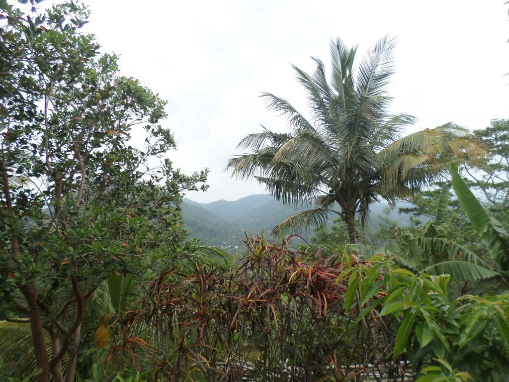 Primrose Hill Holiday Bunglow Kandy Buitenkant foto