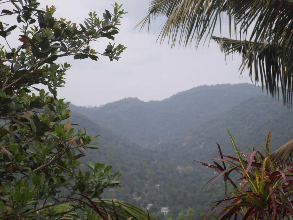 Primrose Hill Holiday Bunglow Kandy Buitenkant foto