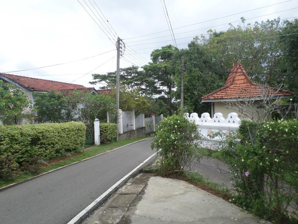 Primrose Hill Holiday Bunglow Kandy Buitenkant foto