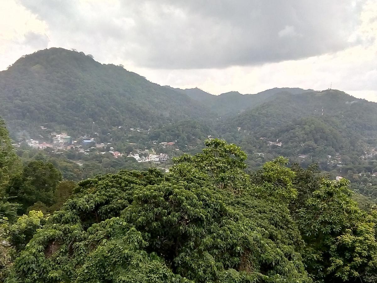Primrose Hill Holiday Bunglow Kandy Buitenkant foto
