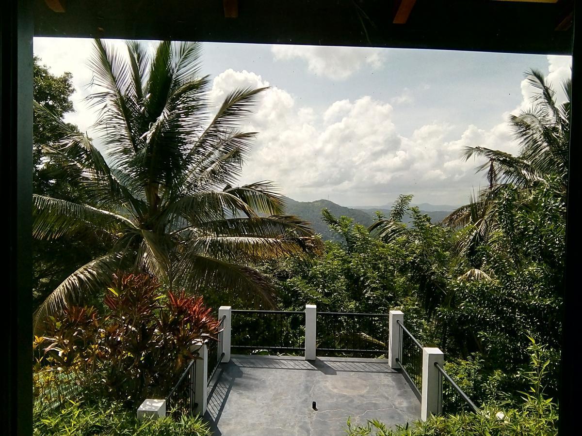 Primrose Hill Holiday Bunglow Kandy Buitenkant foto